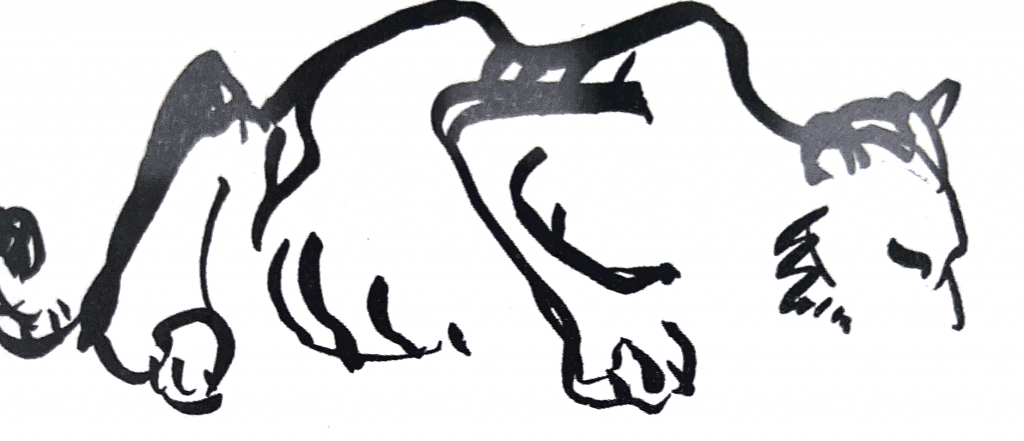 Alexander Calder, Animal Sketches 1926