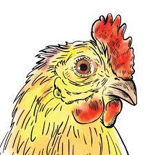Legal Impact for Chickens