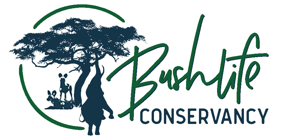 Bushlife Conservancy