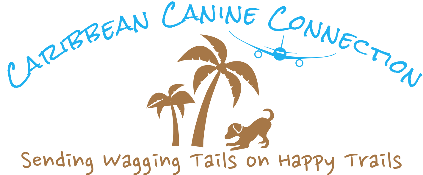 Caribbean Canine Connection