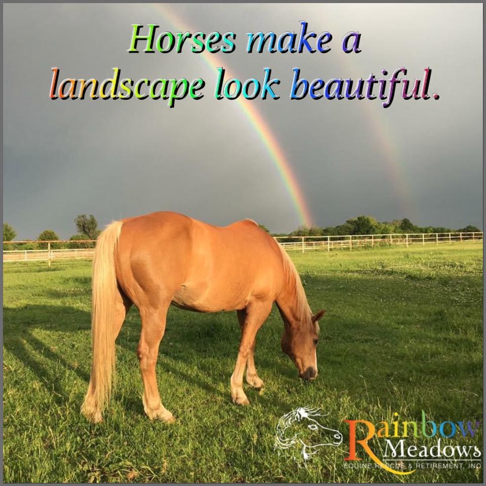 Rainbow Meadows w text