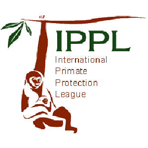 International Primate Protection League