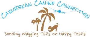 Caribbean Canine Connection