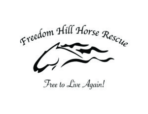 Freedom Hill Horse Rescue