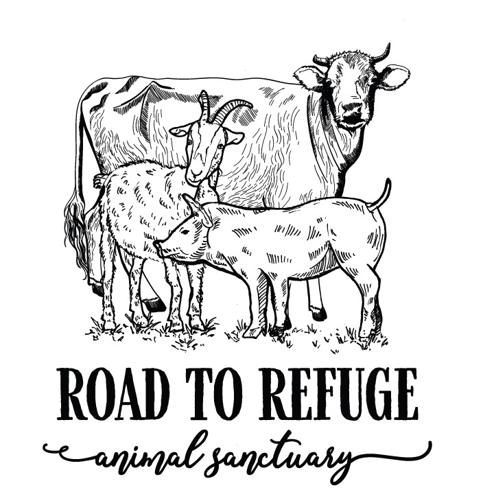 Road to Refuge Animal Sanctuary