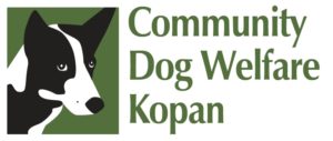 Community Dog Welfare Kopan