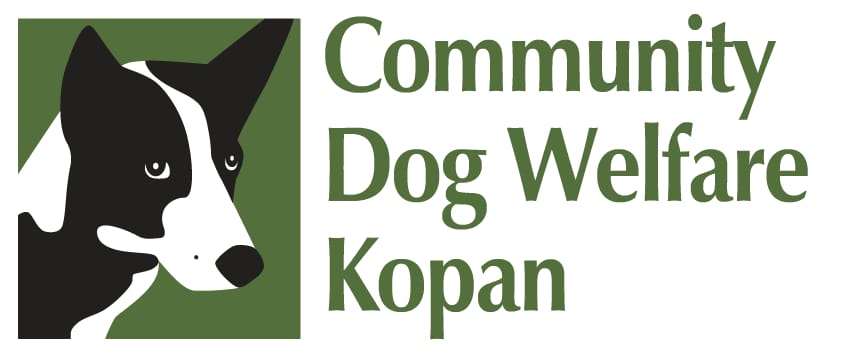Community Dog Welfare Kopan
