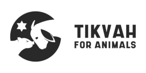 Tikvah for Animals