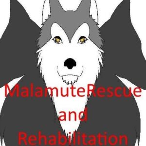 Malamute Rescue and Rehabilitation
