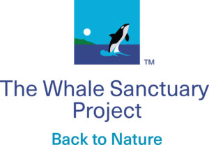 The Whale Sanctuary Project