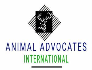 Animal Advocates International