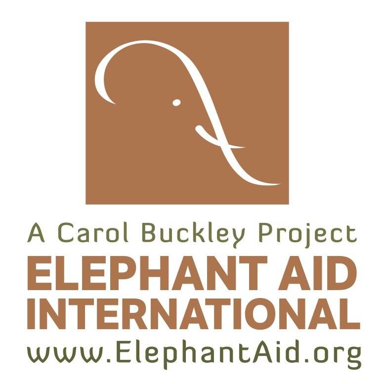 Elephant Aid International