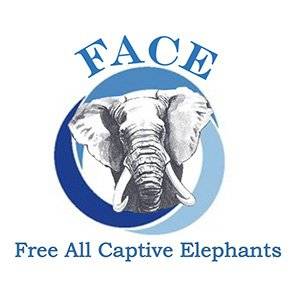 Free All Captive Elephants