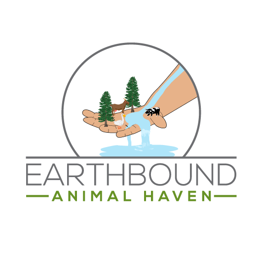 Earthbound Animal Haven