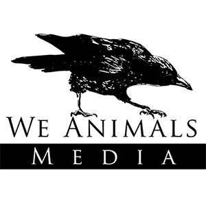 We Animals Media