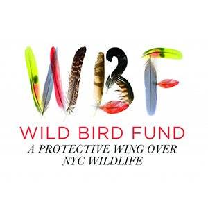 Wild Bird Fund